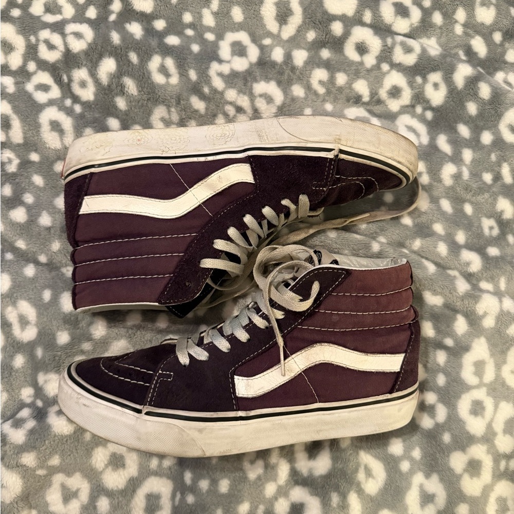 Vans Skateboard Shoes in Black and Cream